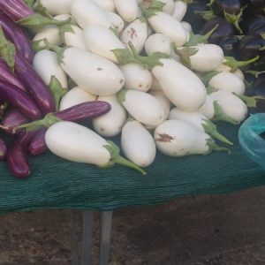 230642608_579098623088164_1711099420100979602_n