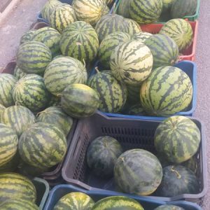 231821294_1213384522420980_1583425825817583168_n