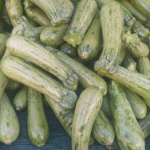 232100486_859315794986497_427734553395023727_n