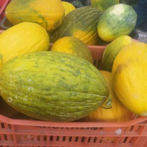 232687332_1224802281275898_6967919999231913274_n