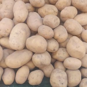 232824720_158640409679693_5813271064241798075_n