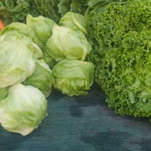 232906968_990550165072400_8944726089429408766_n