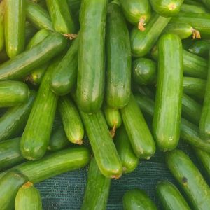 234425299_4186323698145257_3967491933287778405_n