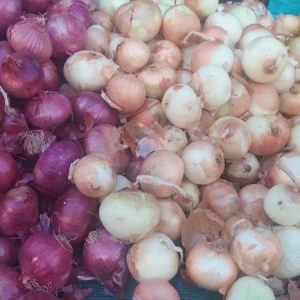 235046525_952118878982013_2452183964898016149_n