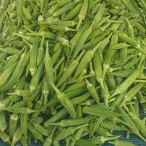 235165984_1694177424099128_6784973504269190622_n